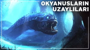 Okyanusun Derinliklerinde 10 Gizemli Hayvan