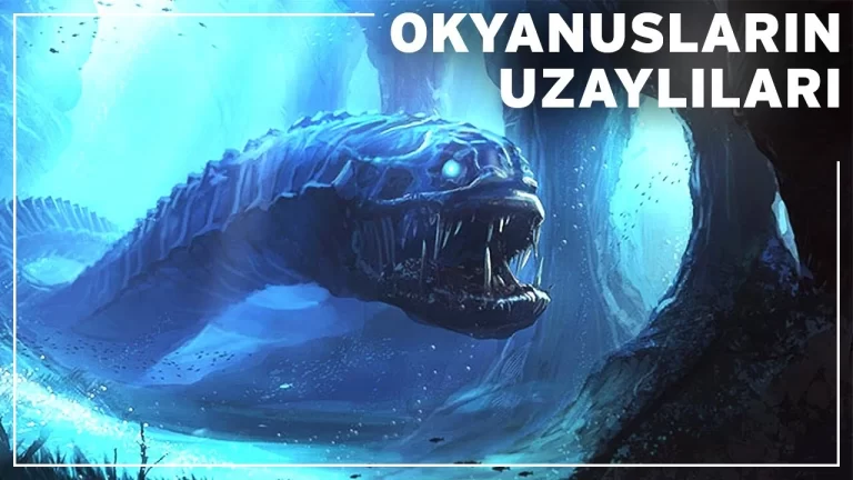 Okyanusun Derinliklerinde 10 Gizemli Hayvan