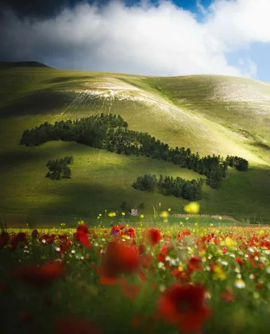 Castelluccio di Norcia